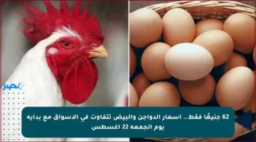 62 جنيهًا فقط.. أسعار الدواجن والبيض تتفاوت في الأسواق مع بداية يوم الجمعة 22 أغسطس